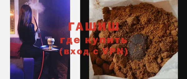 индика Бородино