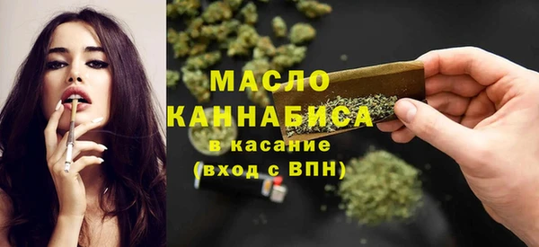 индика Бородино