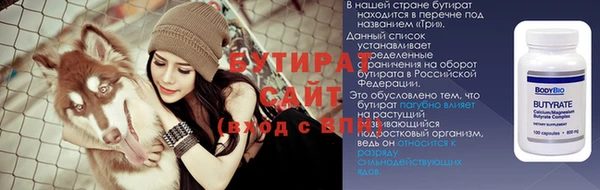 индика Бородино