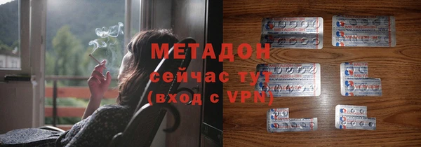 индика Бородино