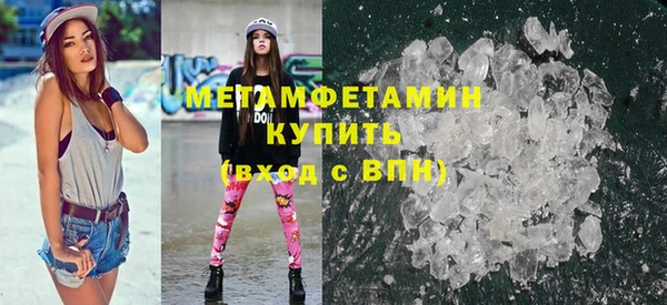 индика Бородино