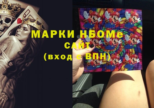 индика Бородино