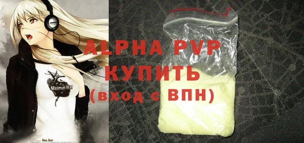 индика Бородино