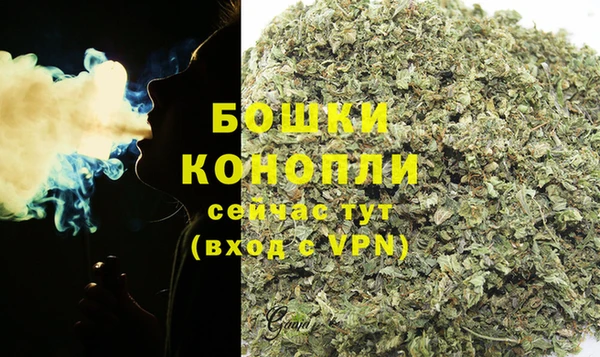 спиды Бронницы