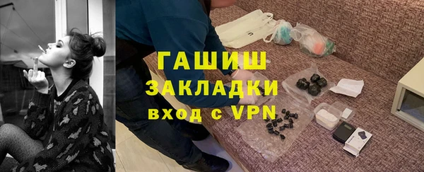 индика Бородино