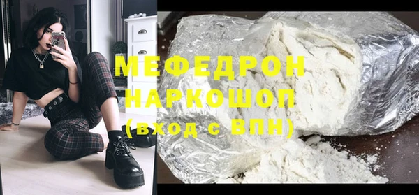 индика Бородино