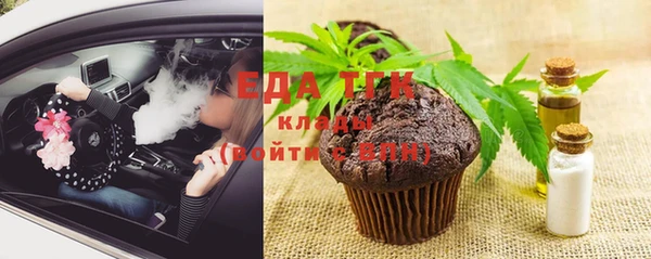 индика Бородино