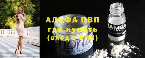 индика Бородино