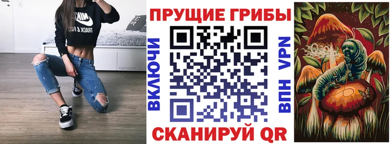 Псилоцибиновые грибы мухоморы  Купить закладки  Нея 
